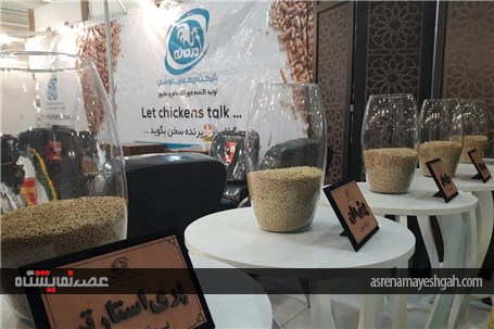 گزارش تصویری نمایشگاه دام و طیور باحضور معاون توسعه اقتصادی استانداری قزوین