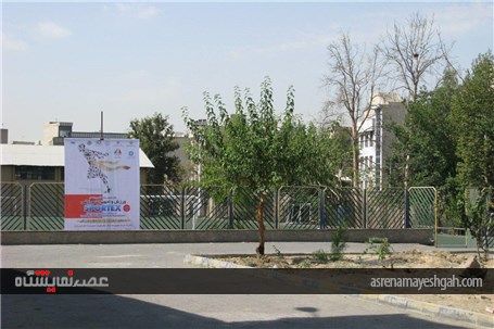 گزارش تصویری از تبلیغات محیطی &quot;شانزدهمین نمایشگاه ورزش و تجهیزات ورزشی&quot;