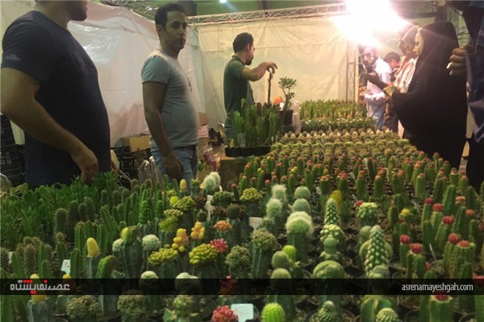 گزارش تصویری از نخستین نمایشگاه تخصصی گل و گیاه استان قم
