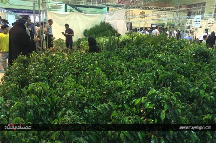 گزارش تصویری از نخستین نمایشگاه تخصصی گل و گیاه استان قم