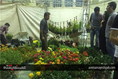 گزارش تصویری از نخستین نمایشگاه تخصصی گل و گیاه استان قم