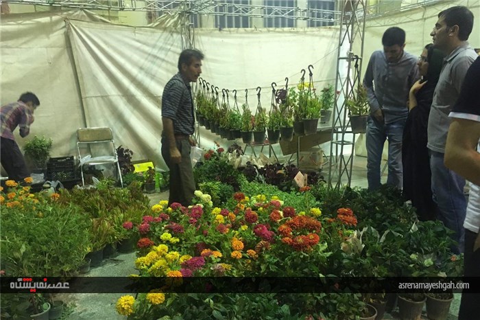 گزارش تصویری از نخستین نمایشگاه تخصصی گل و گیاه استان قم