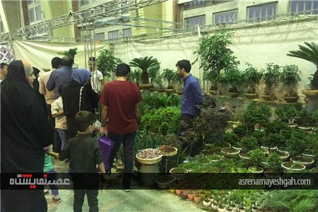 گزارش تصویری از نخستین نمایشگاه تخصصی گل و گیاه استان قم