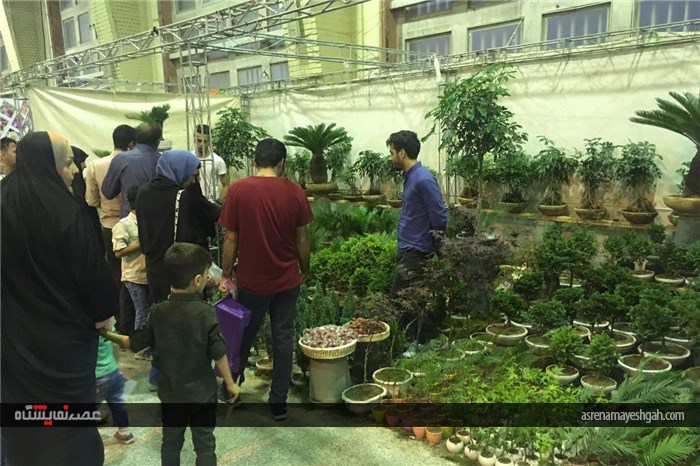 گزارش تصویری از نخستین نمایشگاه تخصصی گل و گیاه استان قم