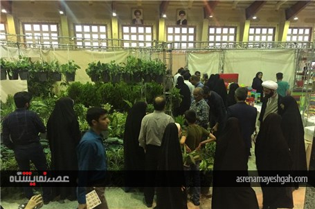 گزارش تصویری از نخستین نمایشگاه تخصصی گل و گیاه استان قم