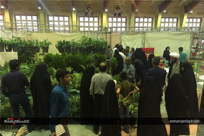 گزارش تصویری از نخستین نمایشگاه تخصصی گل و گیاه استان قم