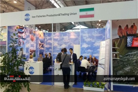 گزارش تصویری از استقبال صادرکنندگان آبزیان ایران از توسعه تجارت با فدراسیون روسیه