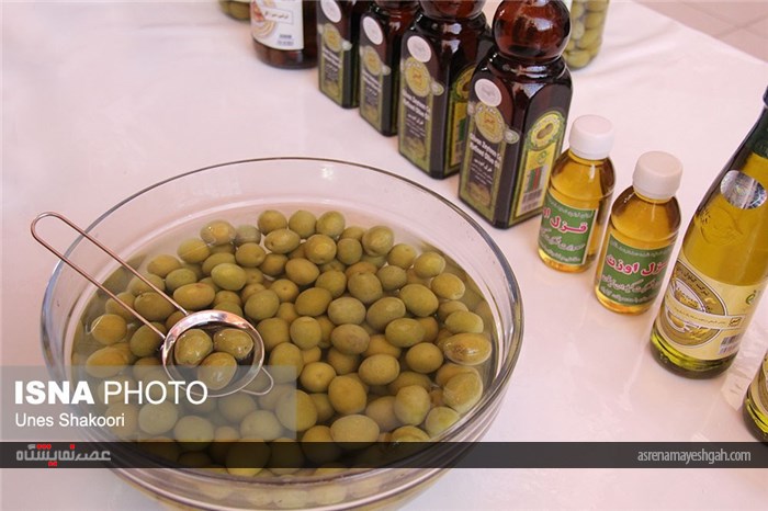گزارش تصویری از نمایشگاه کارخانجات برتر به مناسبت هفته جهانی غذا در زنجان