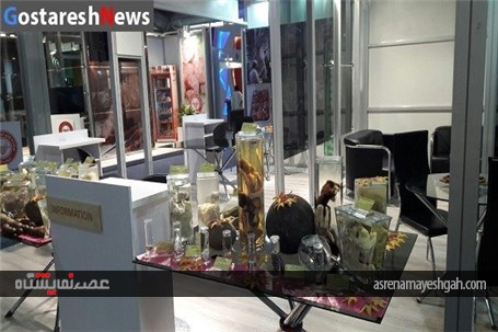 نگاهی به نمایشگاه محصولات پروتئینی حلال