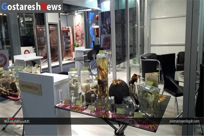 نگاهی به نمایشگاه محصولات پروتئینی حلال