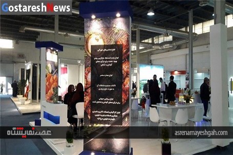 نگاهی به نمایشگاه محصولات پروتئینی حلال