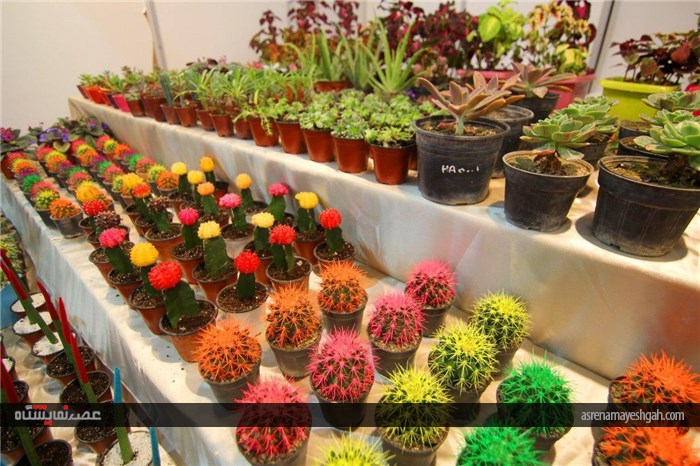 گزارش تصویری از نمایشگاه تخصصى محصولات تولیدى و صنایع دستى روستایى ارومیه