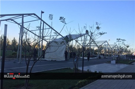 گزارش تصویری آماده سازی بخش خودرو های کلاسیک نمایشگاه خودرو تهران