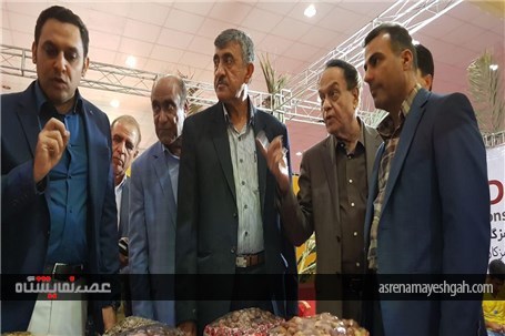 گزارش تصویری از افتتاح پنجمین نمایشگاه تخصصی روزهای سبز هرمزگان