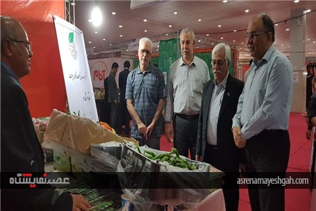 گزارش تصویری از افتتاح پنجمین نمایشگاه تخصصی روزهای سبز هرمزگان