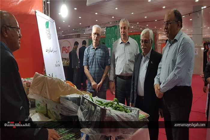گزارش تصویری از افتتاح پنجمین نمایشگاه تخصصی روزهای سبز هرمزگان