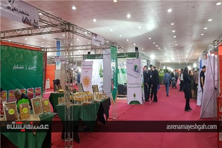گزارش تصویری از افتتاح پنجمین نمایشگاه تخصصی روزهای سبز هرمزگان