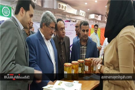 گزارش تصویری از افتتاح پنجمین نمایشگاه تخصصی روزهای سبز هرمزگان
