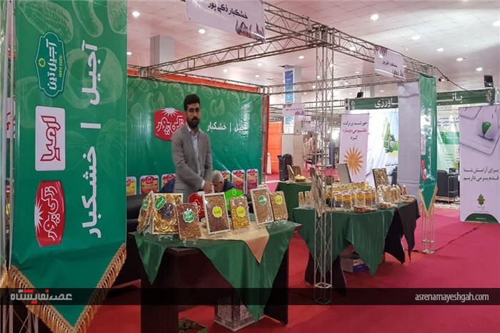 گزارش تصویری از افتتاح پنجمین نمایشگاه تخصصی روزهای سبز هرمزگان