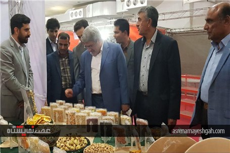 گزارش تصویری از افتتاح پنجمین نمایشگاه تخصصی روزهای سبز هرمزگان