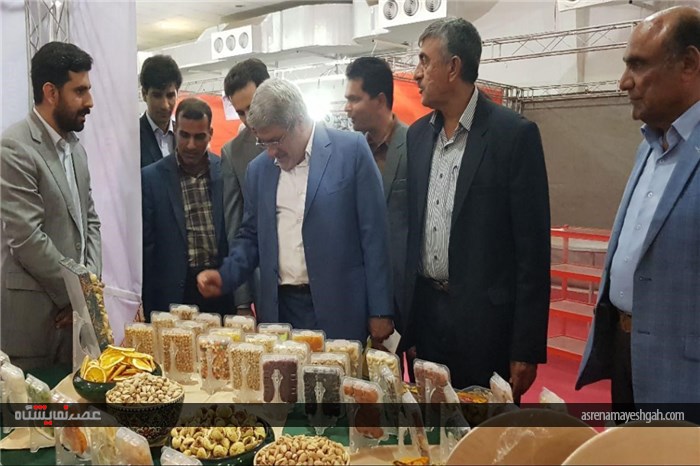 گزارش تصویری از افتتاح پنجمین نمایشگاه تخصصی روزهای سبز هرمزگان
