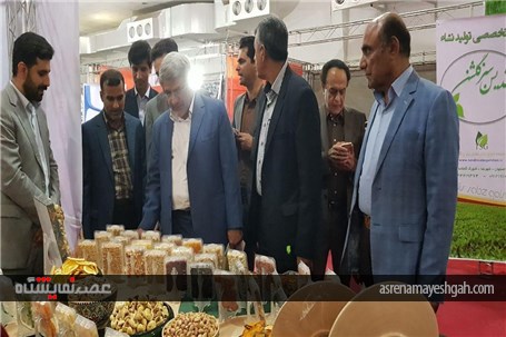 گزارش تصویری از افتتاح پنجمین نمایشگاه تخصصی روزهای سبز هرمزگان