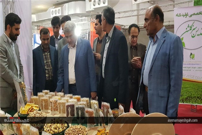 گزارش تصویری از افتتاح پنجمین نمایشگاه تخصصی روزهای سبز هرمزگان