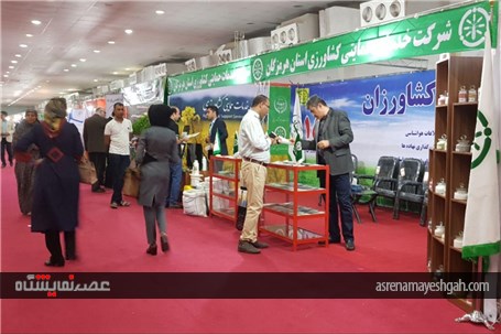 گزارش تصویری از افتتاح پنجمین نمایشگاه تخصصی روزهای سبز هرمزگان