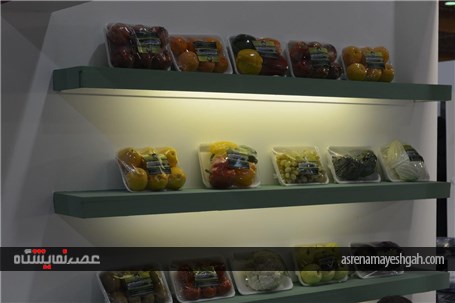 گزارش تصویری از دومین نمایشگاه تخصصی صنایع غذایی گلستان