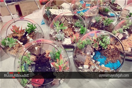 گزارش تصویری از نمایشگاه خرما و گیاهان زینتی در بندرعباس