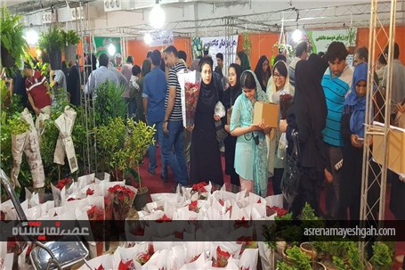 گزارش تصویری نمایشگاه روزهای سبز هرمزگان