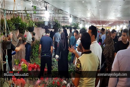 گزارش تصویری نمایشگاه روزهای سبز هرمزگان