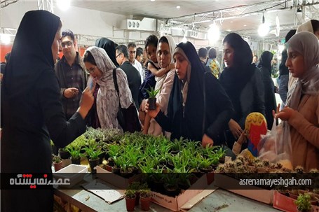 گزارش تصویری نمایشگاه روزهای سبز هرمزگان