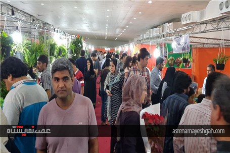 گزارش تصویری نمایشگاه روزهای سبز هرمزگان