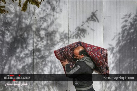 گزارش تصویری نمایشگاه فرش دستبافت قزوین /2