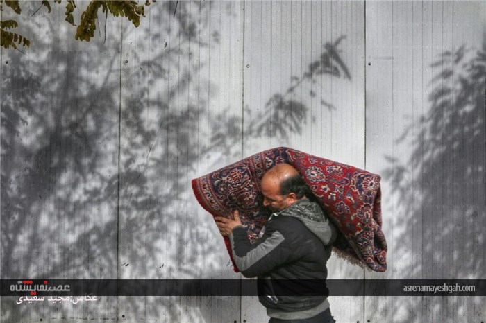 گزارش تصویری نمایشگاه فرش دستبافت قزوین /2