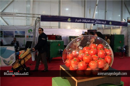 نمایشگاه گل و گیاه در گلستان شیراز در اوج زمستان درهای بهار را به روی مردم گشود.