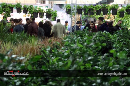 نمایشگاه گل و گیاه در گلستان شیراز در اوج زمستان درهای بهار را به روی مردم گشود.