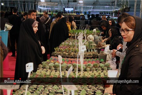 نمایشگاه گل و گیاه در گلستان شیراز در اوج زمستان درهای بهار را به روی مردم گشود.