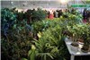 نمایشگاه گل و گیاه در گلستان شیراز در اوج زمستان درهای بهار را به روی مردم گشود.