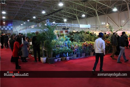 نمایشگاه گل و گیاه در گلستان شیراز در اوج زمستان درهای بهار را به روی مردم گشود.