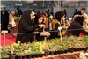 نمایشگاه گل و گیاه در گلستان شیراز در اوج زمستان درهای بهار را به روی مردم گشود.