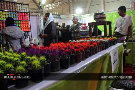 نمایشگاه گل و گیاه در گلستان شیراز در اوج زمستان درهای بهار را به روی مردم گشود.
