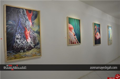 گزارش تصویری افتتاح نمایشگاه نقاشی درنگ در مشهد