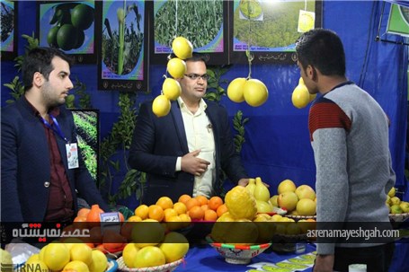 گزارش تصویری نمایشگاه بین المللی ماشین الات کشاورزی و شیلات