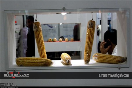 گزارش تصویری نمایشگاه بین المللی ماشین الات کشاورزی و شیلات