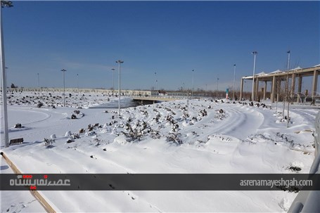 گزارش تصویری