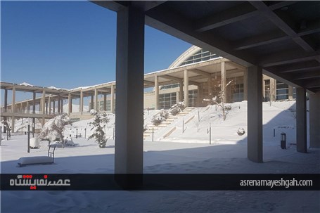 گزارش تصویری