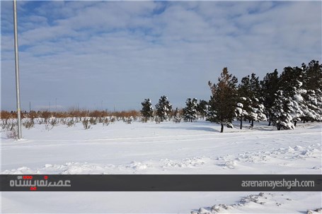 گزارش تصویری