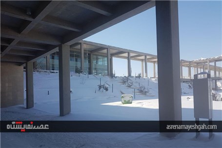 گزارش تصویری